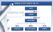 대한항공, 아시아나 화물 매각 끝 아니다…통합 후 계열사 '교통정리' 숙제