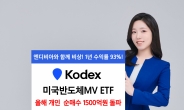 KODEX 미국반도체MV ETF, 개인투자자 올해에만 1500억 순매수