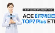 한투운용 ACE 미국빅테크TOP7 Plus ETF, 한 달째 개인순매수 지속