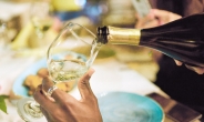 UAE 무알코올 시장 ‘와인·스피릿’까지 확장 [aT와 함께하는 글로벌푸드 리포트]