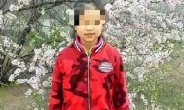 “미성년자라도 사형하라” 8세 여아 살해한 10대 청소년 발칵…中무슨 일