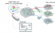 “자기장으로 뇌 자극했더니” 놀라운 결과…행동·감정이 변했다