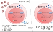 C형 간염 바이러스…환자 면역에 ‘흉터’ 남긴다