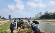 대전시 환경국 전 직원, 3대 하천 피해 복구에 구슬땀