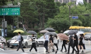 전국서 장맛비 계속…수도권·강원도 최대 80㎜