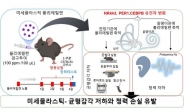 미세플라스틱, 이렇게 위험한 거였어?…‘이 기능’ 저하 유발, 연구결과 ‘충격’