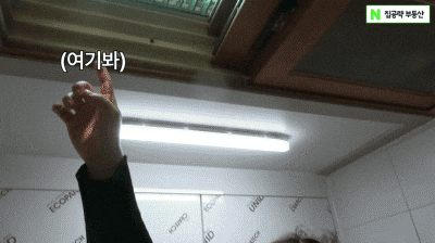 [영상] “서울대 흙수저, 이런 곳 살아야” 천장에 하수구 뚫린 관악구 원룸