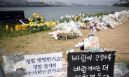 ‘한강사망 의대생’ 故손정민 추모공간, 3년만 철거되나…행정소송 각하