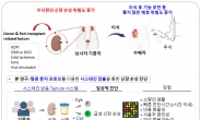 [김태열의 생생건가S펜] 서울대병원, 뇌사자 신장이식 성공률 높일 새로운 진단법 개발