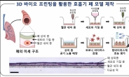 “재유행 조짐 코로나19”…‘인공 폐’로 치료제 개발 속도낸다