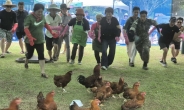 담양 한재골 수목정원 물축제 인기