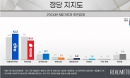 여야 지지율 역전…‘광복절’ 尹·與 낮추고 ‘전당대회’ 민주당 올렸다[數싸움]