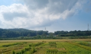 충남도, 간척지용 염해에 강한 벼 개발 ‘박차’