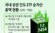 국내 상장 印 ETF 운용자산 3배 껑충 [Hello India]