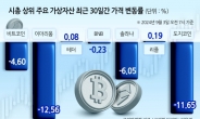 리플 CEO 방한 ‘리또속’ 우려 지울까〈리플에 또 속나〉