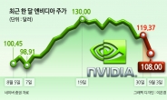 엔비디아, 하루만에 시총 374조원 증발…AI 비관론에 반독점 수사 악재까지