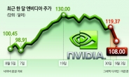 또 엔비디아 ‘쇼크’