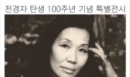 천경자 화백 100주년 전시회 11월이 기다려집니다