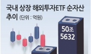 금투세 불안에 ‘투자이민’만이 살 길?…해외 ETF 순자산 처음으로 50兆 넘었다 [투자360]