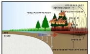 “지구온난화 최악 시나리오 나왔다” 얼음 다 녹고…북극 산불 심각