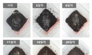 “갑오징어의 놀라운 반전” 97% 완벽 생분해…‘친환경 필름’ 만든다