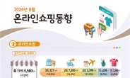 8월 온라인쇼핑 거래액 1.9% 증가 …이쿠폰서비스 거래액 48.6%↓