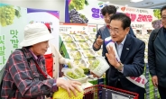 영천시, 전국 롯데마트와 함께하는 포도축제 개최