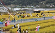 '2024 성주가야산 황금들녘 메뚜기축제' 오는 12~13일 개최