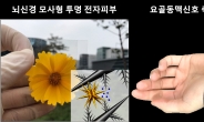 사람 ‘뇌’ 완벽 모사…“1만번 사용해도 거뜬” 초민감 ‘전자피부’ 등장