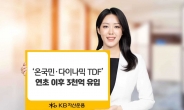 KB자산운용, ‘온국민·다이나믹 TDF’ 연초 이후 3000억원 유입 [투자360]