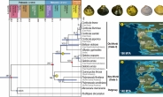 “1억 9천만년전 조개들은 왜 육상으로 옮겨갔을까”…중생대 판게아 대륙 분리 때문