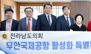 홍준표 대구시장, 전남도의회 공항특위에 정책 대안 제시