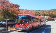 대구시, 팔공산 단풍구경 시내버스 증회 운행