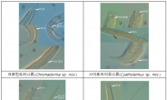 국립생물자원관, 유전정보 분석으로 선형동물 신종 4종 발견