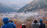 겨울의 시작 ‘입동(立冬)’…서울서 첫 얼음 관측