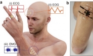 아주대·GIST 연구팀, 전자피부 개발