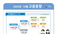 [2보]10월 취업자 수 8만3000명↑… 4개월 만에 10만명대 아래로 감소