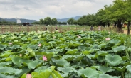 경북도, 산림청 주관 '모범도시숲'전국 최다 선정