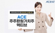 ACE 주주환원가치주액티브…올 들어 주주가치 ETF 수익률 1위 [투자360]