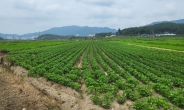 전남도, 전략작물직불금 545억 확정 순차 지급