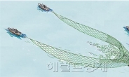 멸치잡이 어선 ‘불법 싹쓸이 조업’ 퇴출
