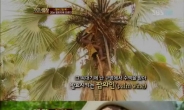 ‘정글의 법칙’김병만, 힘바족도 놀란 나무타기 달인