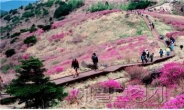 국립공원은 꽃단장 중…5월 봄나들이는 지리산ㆍ경주ㆍ덕유산ㆍ주왕산ㆍ소백산