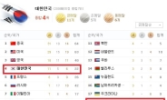 日 네티즌 “한국, 올림픽에 8000억 쏟아부었다” 조롱
