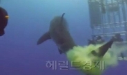 방귀 뀐 상어, 노란가스 ‘3단 발사’ 폭소