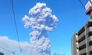 일본 화산 폭발, 후지산도 이상 징후?…공포 확산