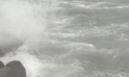 태풍 다나스 남해상 이동…1750 가구 정전, 여객기 항공기 통제