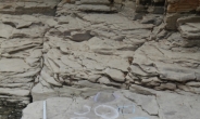 울주 반구대 암각화 밑 공룡발자국 화석 발견