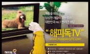 [취재X파일] 멍멍이도 TV 보는 시대…Dog TV도 차별화