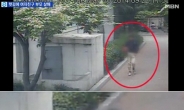 대구살인사건 CCTV 공개...'손 가린 채 도망치는 범인'